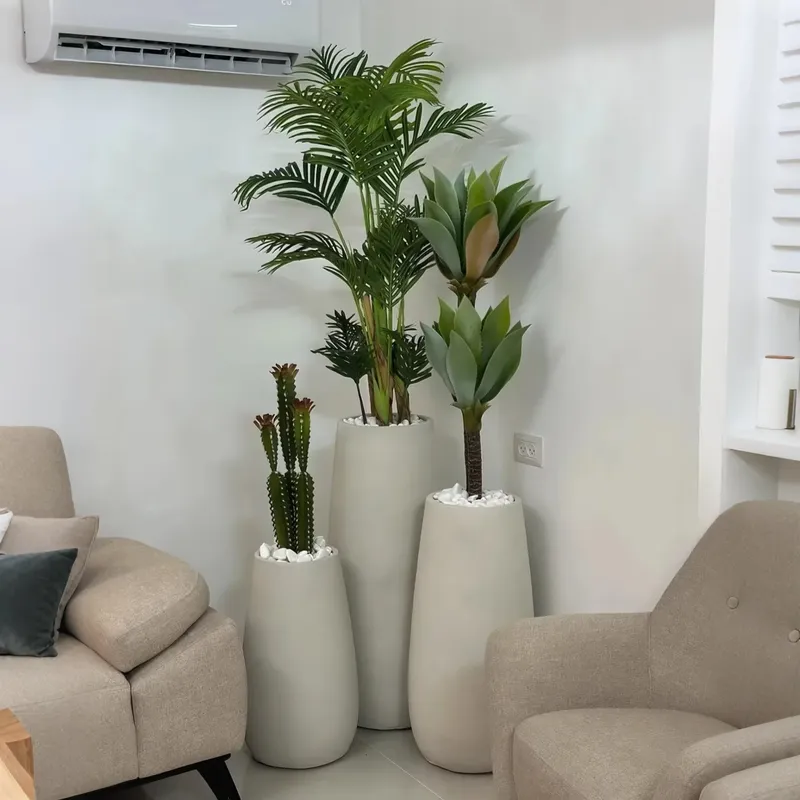 اصنع واحة خشبية أنيقة من أشجار - مراجعة Interior Design Your Home وسعره
